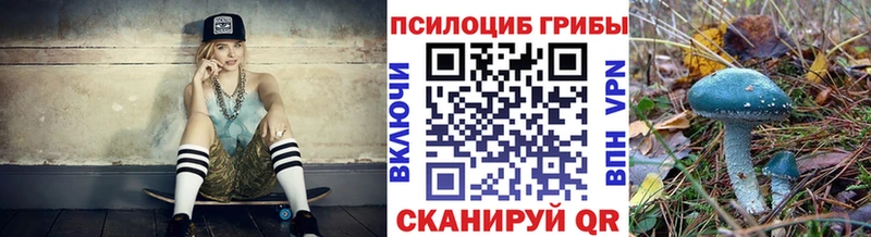 Псилоцибиновые грибы Magic Shrooms купить наркотики сайты Себеж